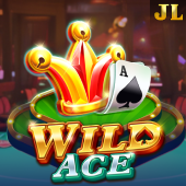 Wild Ace gamezone apk